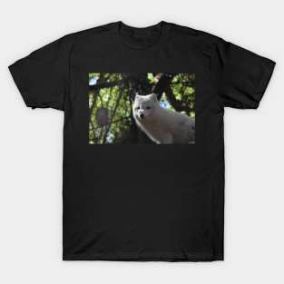 Arctic Fox T-Shirt